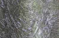 Clap Hill fibreglass roof work